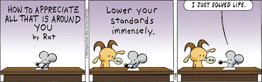 A cartoon with a Rat teaching us how to appreciate life: "Lower your standards immensely"